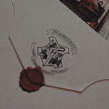 Harry Potter App, Harry Potter Script, Letter From Hogwarts, Hery Potter, Harry Potter Phone, Maxon Schreave, Hogwarts Acceptance Letter, Gryffindor Aesthetic, Hufflepuff Aesthetic