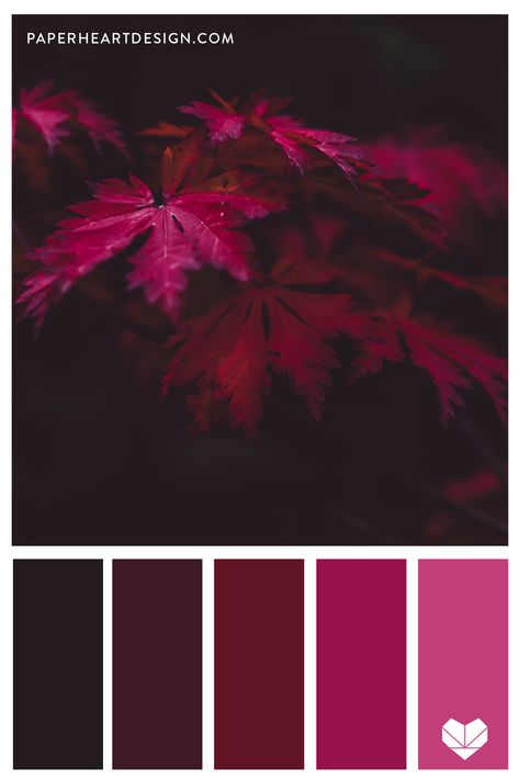 Purple And Red Color Scheme, Color Palette Wine Red, Red Violet Color Palette, Red Color Schemes Colour Palettes, Colours That Go With Red, Wine Red Color Palette, Purple Red Color Palette, Wine Colour Palette, Red Purple Color Palette