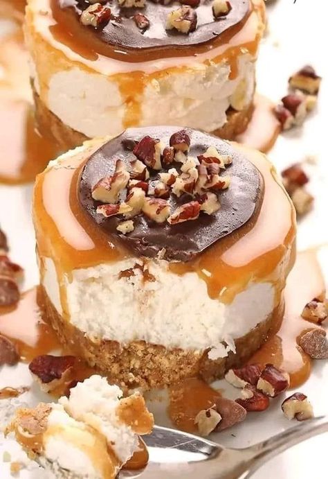 Turtle Cheesecake Recipes, Mini Turtle, Biscuits Graham, Turtle Cheesecake, Mini Cheesecake Recipes, Cheesecake Desserts, Cheesecake Bites, Mini Cheesecakes, Homemade Caramel