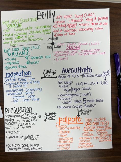 How To Study For Health Assessment, Focused Assessment Nursing, Gi Assessment Nursing, Abdomen Assessment Nursing, Abdominal Assessment Nursing, Physical Assessment Nursing Cheat Sheets, Health Assessment Nursing Notes, Physical Assessment Nursing, Nurse Assessment