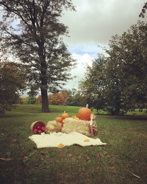 Fall Halloween Mini Sessions, Fall Mini Sessions Hay Bales, Apple Mini Session Ideas, Fall Mini Sessions Indoor, Fall Wagon Photoshoot, Thanksgiving Mini Session, Simple Mini Session Ideas, Fall Mini Sessions Set Up Simple, Halloween Mini Session Ideas