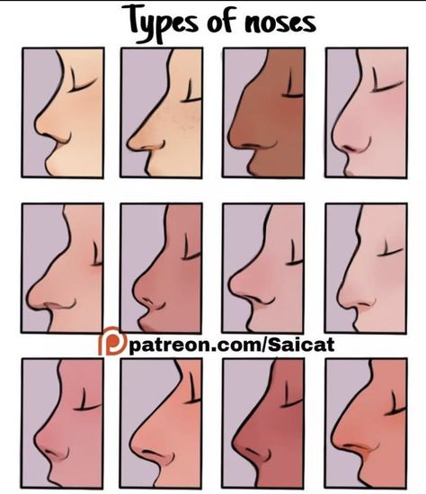 Nose References, Types Of Noses, الفن ال�رقمي, 얼굴 드로잉, Nose Drawing, Cool Pencil Drawings, Smink Inspiration, Body Reference Drawing, Drawing Expressions