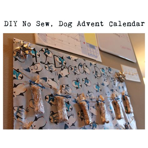 Super easy DIY Dog Advent Calendar!! NO SEW, NO FELT, NO GLUE!. Dog Advent Calendar, Diy Valentines Gifts, Unique Diy Gifts, Diy Dog Stuff, Valentines Diy, Craft Activities, Advent Calendar, Advent, Easy Diy