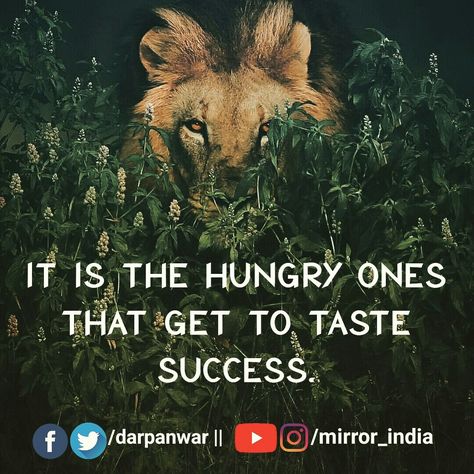 Unless and until you have that Hungry Beast in you, you won't be finding ways to feed your hunger. Be hungry to work & succeed, if you ever in life get that hunger for hardwork and success, you are on the perfect path my mate. - #mirrorindia #indianmirror #india #incredibleindia #motivation #inspiration #motivate #inspire #win #billionaire #millionaire #entrepreneur #business #quotes #hustle #goals #risk #follow #success #persistence #grind #dreams #commitment #nevergiveup #experience #friday Hungry For Success Quotes, Intellectual Quotes, Quotes Hustle, Winning Quotes, Passion Quotes, Power Hungry, Motivational Messages, Entrepreneur Business, Morning Motivation