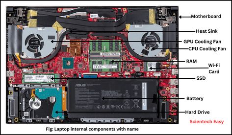 Laptop Components Name and Their Functions - Scientech Easy Read Only Memory, Basic Computer, Random Access Memory, Central Processing Unit, Computer History, Laptop Parts, Input Devices, Hard Disk Drive, A Notebook