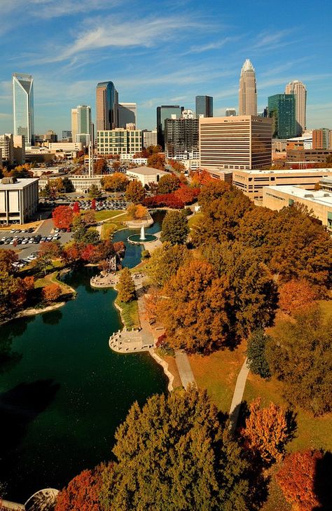 An autumn scene in Charlotte, North Carolina, as shown from overhead looking down into Marshall Park and across to the Charlotte skyline. The new Duke Energy tower is included in image (far left) Charlotte Skyline, Nc Photography, Carolina Do Norte, North Carolina Travel, Budget Vacation, North Carolina Homes, Autumn Scenes, Wake Forest, Charlotte North Carolina