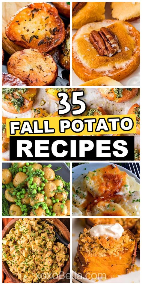 Fall potato recipe ideas Autumn Potato Recipes, Potato Dish For Potluck, Easy Potato Meal Recipes, Fried Potato Casserole, Winter Potato Recipes, Dinner Baked Potato Meals, Amazing Potato Recipes, Fall Potato Recipes, Fall Potato Side Dishes