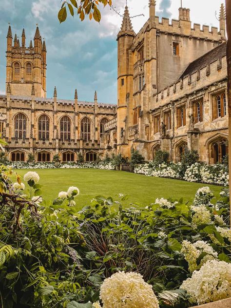 Oxford University Colleges, Magdalene College Oxford, University Astethic, New College Oxford, Magdalen College Oxford, Oxford England Aesthetic, Oxbridge Aesthetic, University Of Oxford Aesthetic, Oxford University Aesthetic Wallpaper