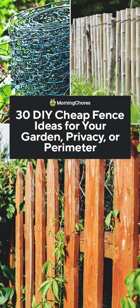 30 DIY Cheap Fence Ideas for Your Garden, Privacy, or Perimeter Diy Cheap Fence, Diy Fence Ideas Cheap, Cheap Fence Ideas, Fences Alternative, Cheap Privacy Fence, Cheap Garden Fencing, Diy Backyard Fence, Diy Privacy Fence, Garden Fence Ideas