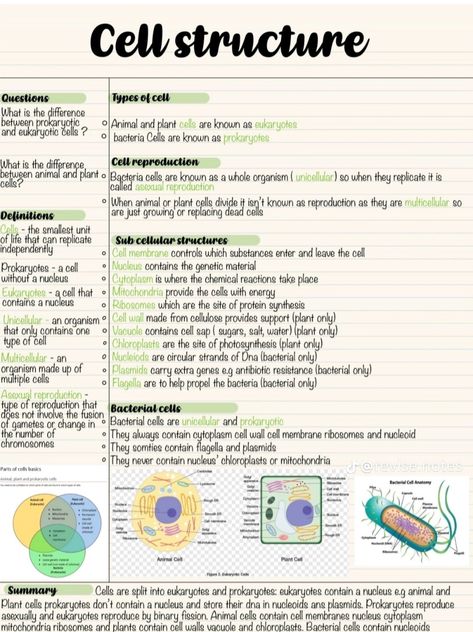 Cell Notes Anatomy, Anatomy Cells Notes, Biology College Notes, Anatomy And Physiology Cells Notes, Bio Cell Notes, Cell Study Notes, Cell Biology Notes Gcse, Cell Anatomy Notes, Cell Chapter Notes