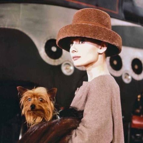 Audrey Hepburn & her terrier, Mr Famous at the station in Funny Face. 1957. #classicfilm #thedogonthetrain #moviedog #yorkie #yorkiesofinstagram #yorkshireterrier #dogsofinstagram #instaterrier #audreyhepburn