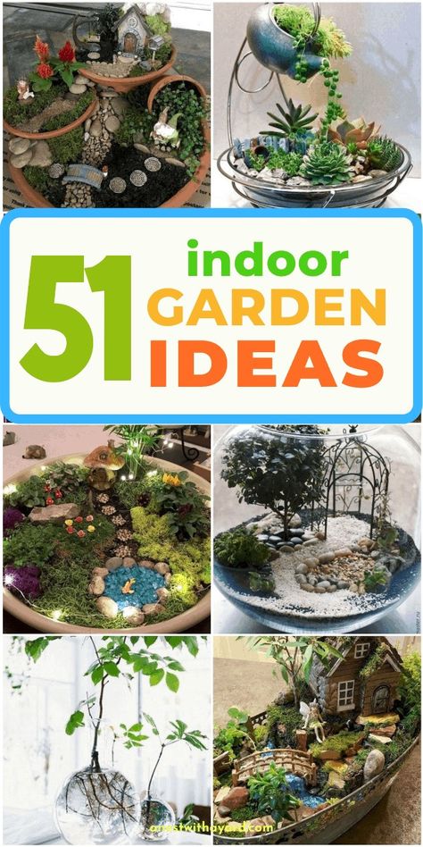 Mini Garden Ideas Small Spaces Indoor, Indoor Garden Apartment Small Spaces, Small Indoor Garden Ideas, Mini Garden Ideas Small Spaces, Terrarium Closed, Indoor Garden Apartment, Growing Crops, Water Ideas, Indoor Fairy Gardens