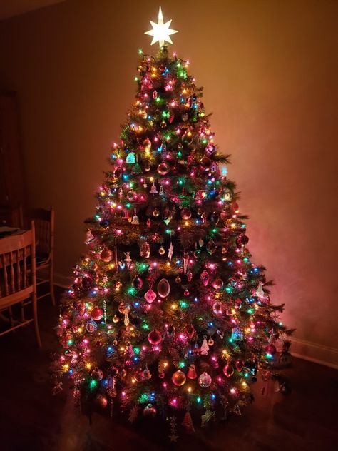 Colour Lights Christmas Tree, Rainbow Christmas Lights Tree, Christmas Colored Lights Tree, Bright Coloured Christmas Tree, Christmas Colorful Lights, Christmas Tree Ideas Colourful, Warm Colorful Christmas Lights, Colourful Lights Christmas Tree, Colored Lights On Christmas Tree