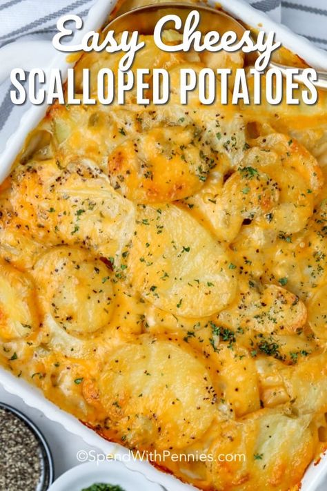 These easy cheesy scalloped potatoes are a delicious and easy potato side dish that makes classic scalloped potatoes even simpler! #spendwithpennies #scallopedpotatoes #potatoes #cheesyscallopedpotatoes #scalloped #cheesypotatoes #sidedish #easysidedish Slow Cooker Recipes Shrimp, Slow Cooker Sausage Recipes, Slow Cooker Recipes Family, Easy Cheesy Scalloped Potatoes, Paleo Slow Cooker Recipes, Cheesy Scalloped Potatoes Recipe, Easy Scalloped Potatoes Recipe, Potato Side Dishes Easy, Cheesy Scalloped Potatoes