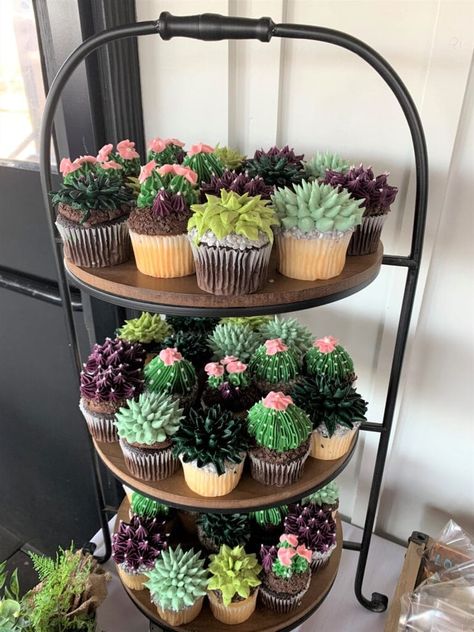 Gender Reveal Ideas Garden Theme, Growth Party Theme, Succulent Gender Reveal Party, Plant Theme Gender Reveal, Succulent Gender Reveal, Baby Shower Succulents, Garden Theme Wedding Shower Ideas, Plant Gender Reveal, Plant Themed Cupcakes