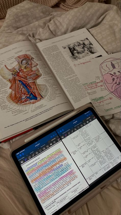 Studying With Tablet, Study Motivation Medicine, Study Medicine Aesthetic, Locking In, Medicine Anatomy, Study Business, Study Medicine, Property Business, Medicine Notes