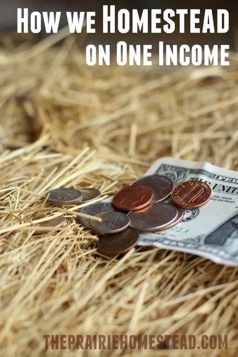 How We Homestead on One Income (Part Two) • The Prairie Homestead The Prairie Homestead, Prairie Homestead, Home Equipment, Acre Homestead, Homesteading Diy, Homestead Farm, Homestead Gardens, Homesteading Skills, Homestead Living