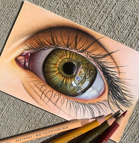 Eye Painting Realistic, Eye Drawing Prismacolor, Realistic Eye Drawing Color Pencil, Eye Drawing With Color, Realistic Eye Drawing Color, Realistic Eye Painting, Realistic Colored Pencil Drawings, Realistic Drawings Colored Pencils, Ipad Art Procreate