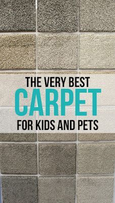 Grey Carpet Bedroom, Basement Carpet, Carpets For Kids, Carpet Stores, Kids And Pets, Carpet Decor, Carpet Trends, Cheap Carpet Runners, Floor Remodel