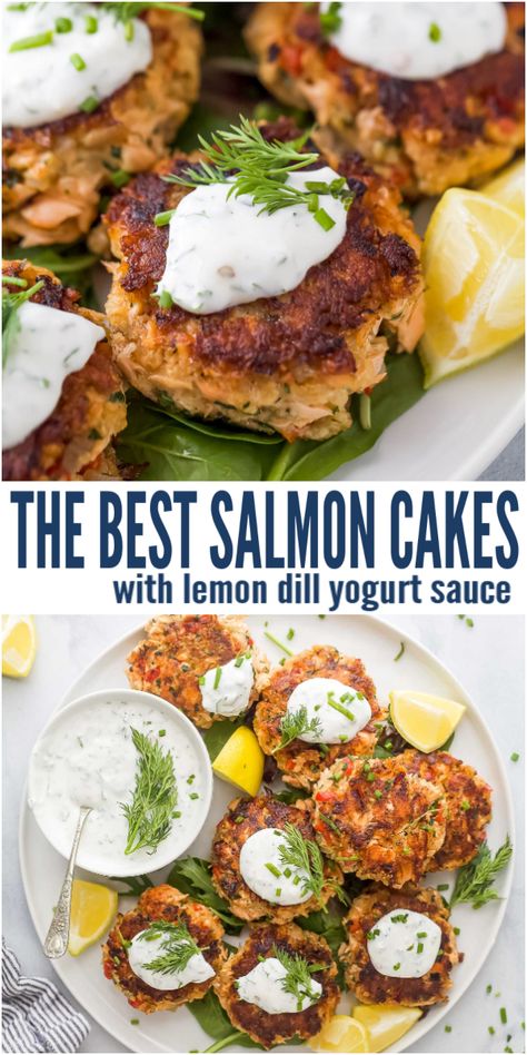 Salmon Patties With Dill Sauce, Almond Flour Salmon Patties, The Best Salmon Patties, Dill Sauce For Salmon Patties, Quinoa Salmon Patties, Easy Salmon Cakes Recipes, Salmon Patties With Sauce, Gf Salmon Patties, Low Calorie Salmon Patties