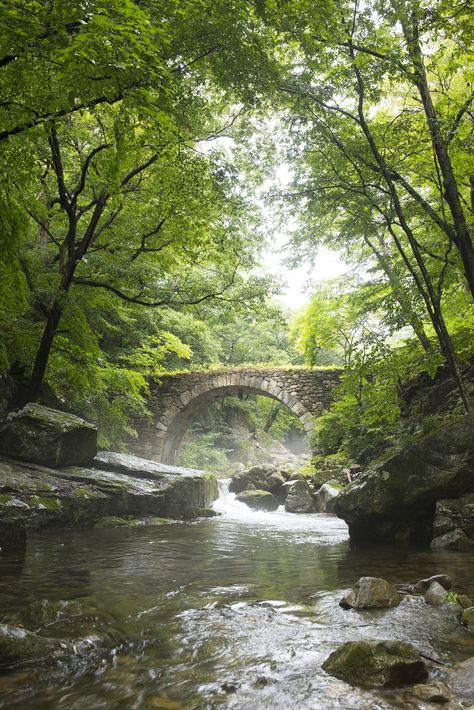 Quiet Landscape, Forest Stream, World Most Beautiful Place, Matka Natura, River Photography, Stone Bridge, Landscape Art Painting, Water Art, Beautiful Places Nature