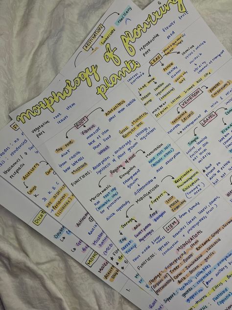 #neet #ncert #botany #class11 Bio Class 11, Botany Notes Class 11, Botany Notes Aesthetic, Ncert Aesthetic, Plant Kingdom Notes Class 11, Anatomy Of Flowering Plants Notes, Morphology Of Flowering Plants Notes, Ncert Biology Class 11, Morphology Of Flowering Plants