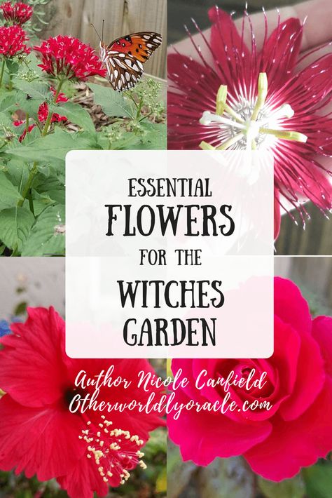 Magickal Plants: Essential Flowers for the Witches Garden Witches Flower Garden, Moonflower Garden, Witchy Flowers, Magickal Plants, Witchy Corner, Plant Magick, Spooky Garden, Hedge Witchery, Witches Garden