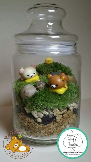 Kuma Bear Terrarium. #cute #kawaii #terrarium #moss Kawaii Terrarium, Terrarium Moss, Plants In Jars, Paint Pots, Figure Display, Life Before You, Garden Party Birthday, Green Things, Moss Terrarium