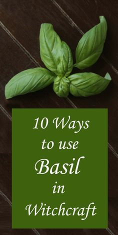 Ways To Use Basil, Witchs Garden, Magickal Tips, Magical Plants, Magickal Herbs, Witch Herbs, Witchcraft Spells, Green Witchcraft, Spell Work