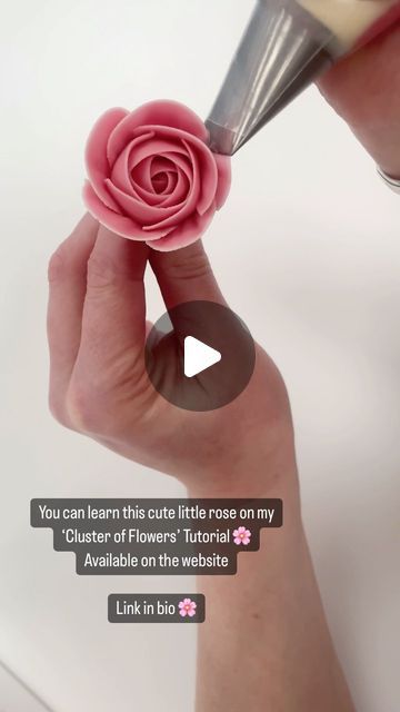 Alice Ward on Instagram: "124k mini rose tutorial on the website 🌸💕  This tutorial will show how to pipe two different mini roses with 2 different nozzles as well as some two tone tulips.  It is the longest in duration out of my individual tutorials and costs £8. www.petalsbakehouse.co.uk/tutorials  . #cake #cupcakes #cupcakedecorating #flowers #piping #edibleflowers #buttercreamflowers #petalsbakehouse" Piping Flowers On Cake Simple, Russian Rose Piping Tips, Wilton Flower Tutorial, Piped Roses On Cake, Mini Rose Cupcakes, Piping Roses Tutorial, How To Pipe A Rose On A Cupcake, Flower And Fruit Cake, Piping Roses On Cupcakes