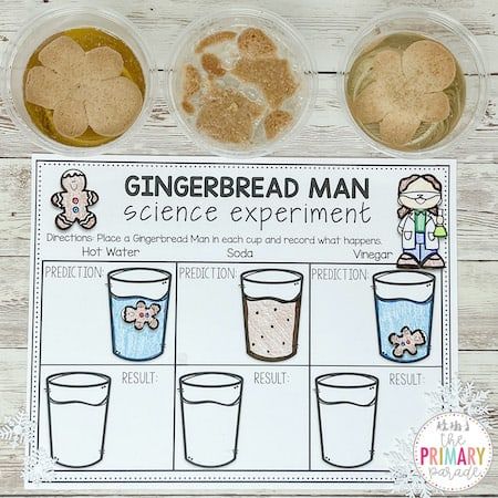 Easy gingerbread man science experiment for kids to do this Christmas. Fun Christmas gingerbread activities for kids. Gingerbread Man Science, Gingerbread Man Kindergarten, Gingerbread Activities Preschool, Gingerbread Kindergarten, Gingerbread Man Preschool, Gingerbread Man Unit, Christmas Science Experiments, Gingerbread Man Crafts, Gingerbread Unit