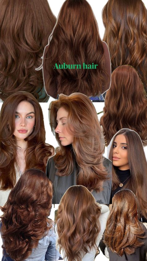 deep reddish brown hair colour, hints of orange Copper Undertone Brown Hair, Hair Dye Ideas Auburn, Auburn Hair Actress, Hair Inspo Color Brunettes Curly, Chocolate Mohagany Hair, Reddish Brown Hair Natural, True Brown Hair Color, Natural Hair Colours Ideas Dyes, Shirt Light Brown Hair