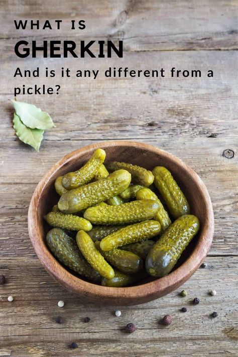 Let's look at some of the differences between gherkins, pickles, cucumbers, and cornichons. Canning Sweet Gherkin Pickles, Pickled Gherkins Recipe, Mini Cucumber Pickles, Sweet Gherkins Pickles Recipes, Gherkins Pickles Recipes, Gherkins Recipe, Sweet Gherkin Pickle Recipe, Cucamelon Pickles, Gherkins Pickles