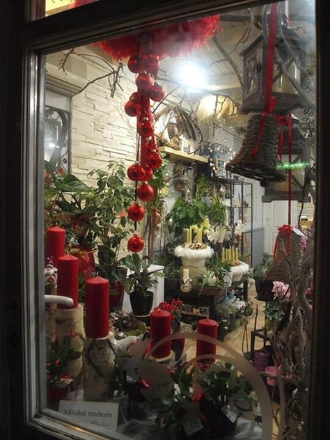 Flower Shop Shop Christmas Display, Flower Shop Christmas, Florist Window Display, Window Display Christmas, Christmas Shop Window, Flower Shop Decor, Flower Business, Flower Shops, Florist Shop