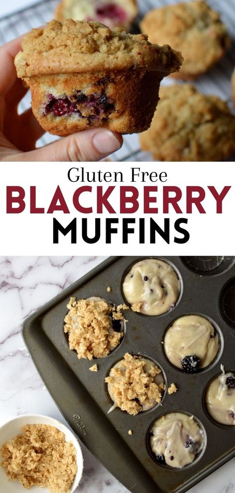 hand holding a gluten free blackberry muffin Blackberry Muffins Healthy, Blackberry Muffins, Blackberry Muffin, Celiac Recipes, Blackberry Recipes, Muffin Tops, Berry Muffins, Going Gluten Free, Wheat Free Recipes