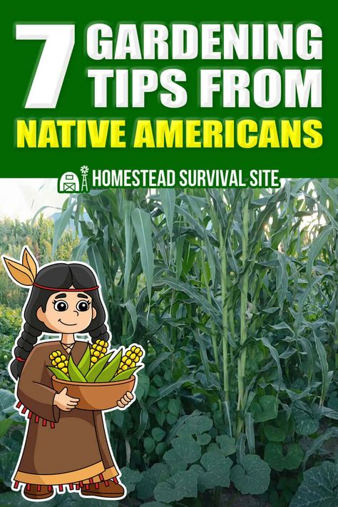 Native American Survival Skills, Native American Survival, Native American Gardening, Allotment Planning, Native American Herbs, Homestead Style, Retirement Life, Indian Garden, American Garden