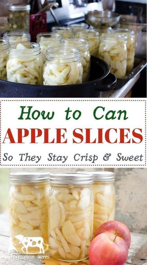 Canning Apples, Pressure Canning Recipes, Canning Fruit, Home Canning Recipes, Canning Vegetables, Canning Food Preservation, Canned Food Storage, Canning Tips, Canned Apples