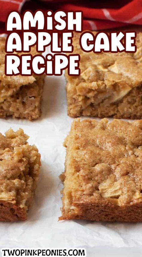 Amish Apple Cake, Snack Cake Recipe, Mennonite Recipes, Easy Apple Cake, Apple Snacks, Apple Cake Recipe, Apple Recipes Easy, Applesauce Cake, Apple Cake Recipes