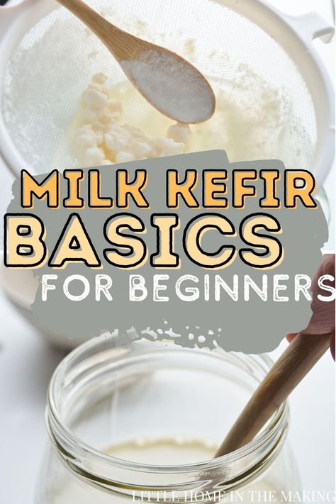 Milk Kefir Recipes, Milk Kefir Grains, Water Kefir Grains, Fermented Dairy, Kefir Recipes, Fermented Milk, Kefir Grains, Water Kefir, Milk Kefir