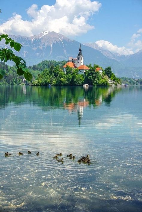 Slovenia Bled Lake, Lake Bled Slovenia Photography, Slovenia Travel Places To Visit, Bled Slovenia Aesthetic, Lake Bled Aesthetic, Slovenia Aesthetic, Slovenia Summer, Inter Railing, Travel Slovenia