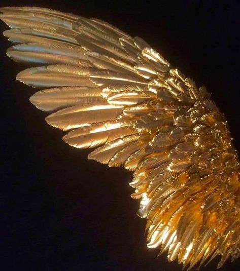 Gold Angel Aesthetic, Wings Aesthetic Angel, Wings Aesthetics, Gold Fairy Wings, Angel Wings Aesthetic, Angelo Guerriero, Golden Brunette, Art In Nature, Golden Decor