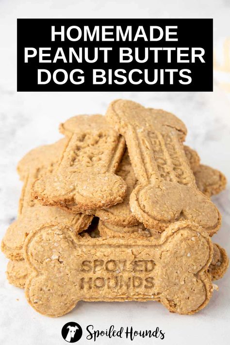 Peanut Butter Dog Biscuits made with simple ingredients. Get the easy recipe and find out how to make the best peanut butter biscuits for dogs. These crunchy homemade dog biscuits are less expensive than store-bought and have healthy ingredients with no preservatives. DIY dog biscuits with peanut butter are a tasty doggie treat. #dogtreats #homemadedogtreats #diydogtreats #dogbiscuits Diy Dog Biscuits Easy Doggie Treats, Dog Biscuits Homemade Peanut Butter, Crunchy Dog Treats Recipes, How To Make Dog Biscuits, Diy Dog Biscuits Easy, Homemade Dog Biscuits Recipe, Healthy Dog Biscuits Recipes, Home Made Dog Biscuits Recipes, Peanut Butter Dog Treats Homemade Easy