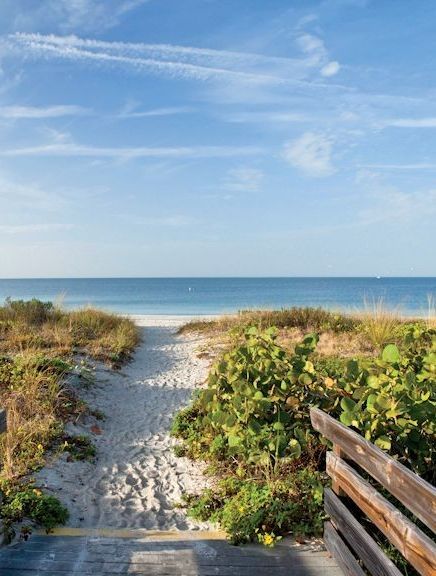 These beach towns are prime spots for living out your golden years by the sea. Best Places To Retire, Lido Beach, Usa Roadtrip, Dog Friendly Beach, Sarasota Florida, Old Florida, Best Places To Live, Seaside Towns, Coastal Towns