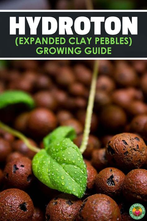 Diy Hydroponics, Aquaponics Diy, Hydroponic Farming, Hydroponics Diy, Hydroponic Growing, Indoor Vegetable Gardening, Aquaponics System, Organic Gardening Tips, Hydroponics System