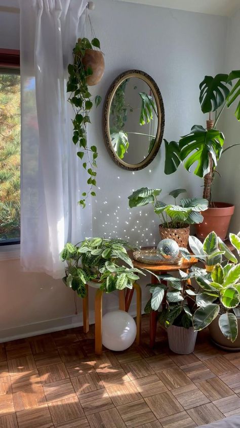 Houseplant home decor 🌱 | Dream house decor, Aesthetic room decor, Dream room inspiration Natural Plant Living Room, Plant Aesthetic Kitchen, Parisian Plant Decor, Plants Earthy Aesthetic, Houseplants Small Spaces, Plant Window Set Up, Plants In Home Ideas, Plant House Aesthetic Living Room, Small Apartment Decorating Plants