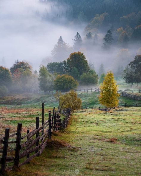 Countryside Reference Photos, Farm Photography Landscape, Foggy Landscape Painting, Rural Landscape Photography, Farmland Landscape Painting, Scottish Scenery Landscapes, Landscape Art Painting, Rural Landscape, Landscape Pictures