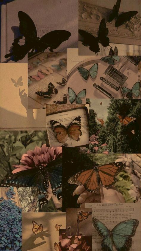 Collage Wallpaper Butterfly, Aesthetic Pictures Of Butterflies, Phone Cover Wallpaper Hd, Butterfly Aesthetic Quotes Wallpaper, Brown Butterflies Wallpaper, Cute Butterfly Wallpaper Aesthetic, Aesthetic Butterfly Wallpaper Vintage, Aesthetic Pictures Butterfly, Aesthetic Butterfly Pictures