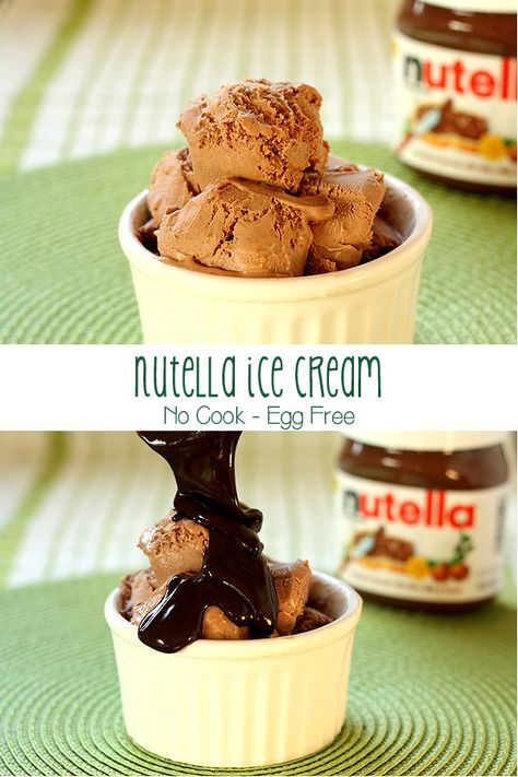 Learn how to make Nutella Ice Cream with 5 ingredients and a blender. No need to cook or add eggs. Get the recipe at www.chocolatemoosey.com @chocolatemoosey Nutella Treats, Nutella Ice Cream Recipe, How To Make Nutella, Nutella Ice Cream, Cuisinart Ice Cream Maker, Awesome Desserts, Easy Ice Cream Recipe, Ice Cream Maker Recipes, Summer Eats