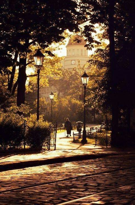 Golden Autumn in POLAND. Krakow Aesthetic, Europe Street, Paint Photography, London Architecture, Beautiful Sites, Pretty Photos, Street Photo, Krakow, Beautiful Architecture