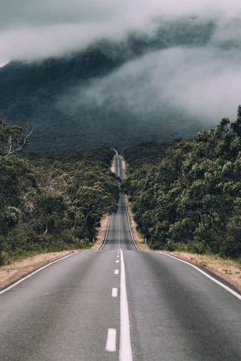 Beautiful Roads, Image Nature, Forest Road, Dslr Background Images, Foto Tips, Photo Background Images, Alam Yang Indah, Artistic Photography, Landscape Wallpaper